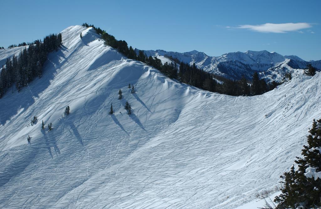 Raintree'S The Miners Club Park City Exterior foto